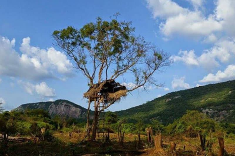 වන අලි බහුල ගල්ගමුවෙන් වන සත්ව මිනිස් ගැටුමට විසඳුමක්