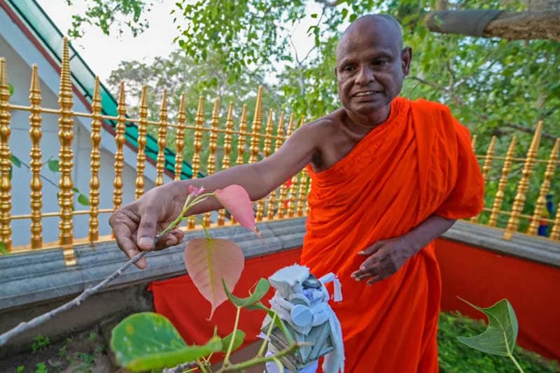 පල්ලේගම හේමරතනලාගේ ලෝකයේ ආණ්ඩුව තියෙන්නේ කොතැනද? | Shalika Wimalasena