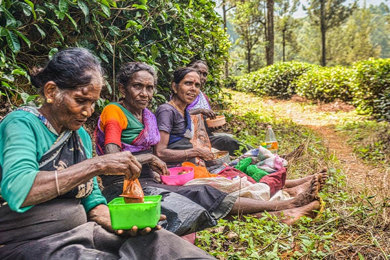 නොරට සිට ආ මුතුන් මිත්තෝ (10) : වතුකර දෙමළ ජනතාව ඉන්දියාවට භාර ගැනීමට කැමැත්ත - (ඉන්දු පෙරේරා)