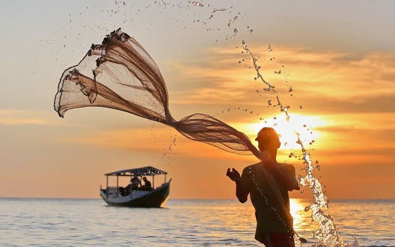යුද්ධයෙන් පසු උතුරු මුහුදේ ධීවර සීමා ලිහිල් වීමත් සමග තහනම් පන්න ක්රම බෝ වෙලා