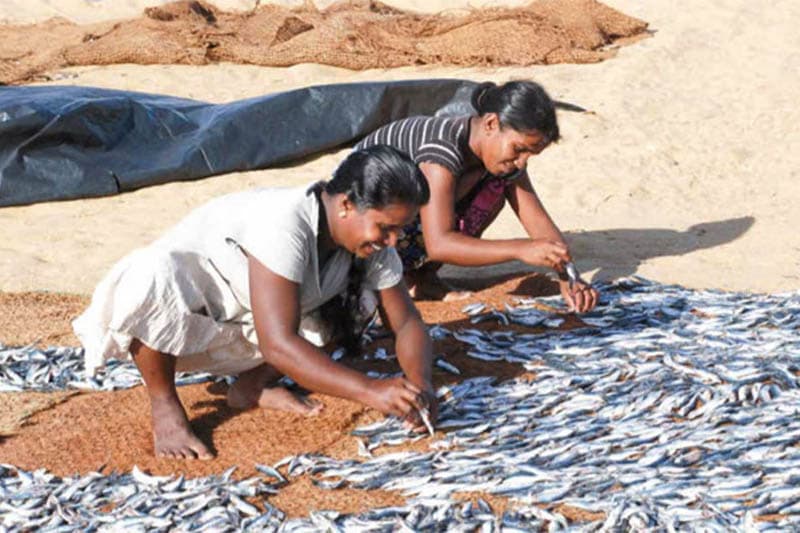 කුවේණිගේ සනුහරේ (05) - රාමයියලාට බහ දුන් මීගමු තරුණියෝ (ඉන්දු පෙරේරා)