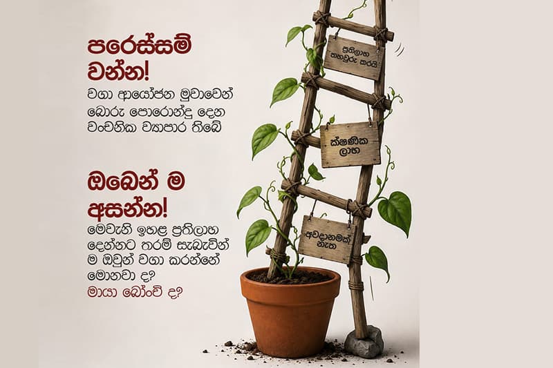'වගා ආයෝජන වංචාවලට අහුවෙන්න එපා' ! : මහ බැංකු අධිපතිගෙන් ජනතාවට දැඩි අනතුරු ඇඟවීමක්!