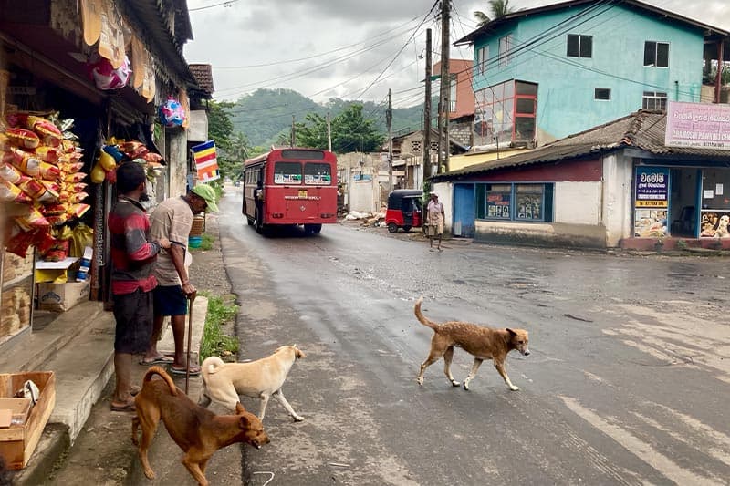 නෑබොඩ : ඉංග්රීසි වැවිලිකරුවන්ගේ මුදලින්, මලෛයහ කම්කරුවන්ගේ ශ්රමයෙන් ගොඩනැගූ දේව වංශිකයන්ට උරුමවූ නගරය