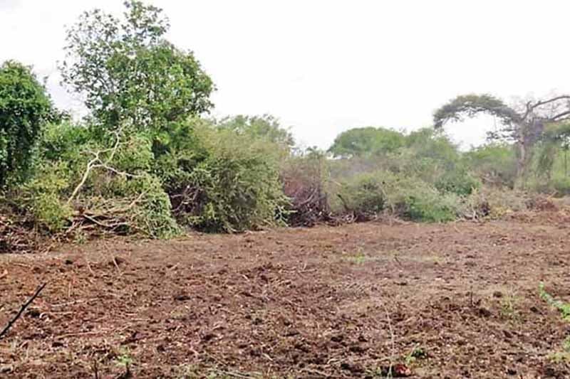 නාකොළගනේ වන විනාශය හමුවේ නිහඬ වූ බලධාරීන්ට ශ්රේෂ්ඨාධිකරණ තීන්දුවක්