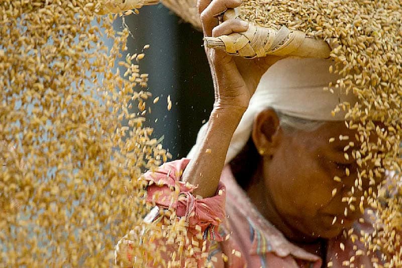 ආණ්ඩුව බලයට පත්වූ දා සිට 'ආහාර ප්රතිපත්ති කමිටුව' රැස්වී නෑ | Keerthi Tennakoon