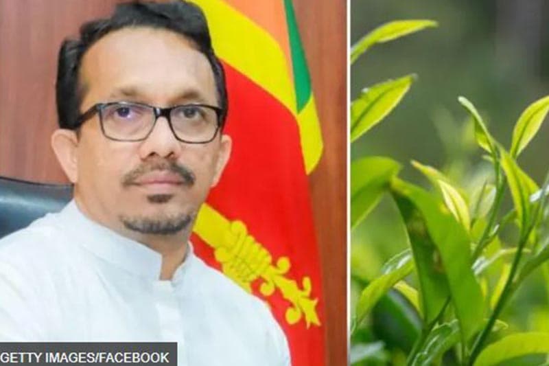 Ceylon Tea: ජපානයේදී සිදුවූයේ කුමක් ද? නොබෙල් ත්යාගය පිරිනමන විෂයයන් මොනවා ද?
