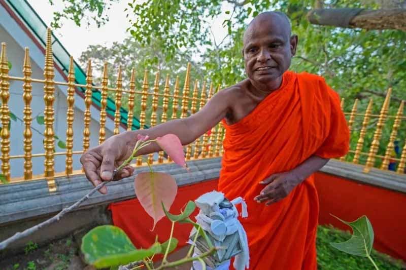 පහලගම හේමරතන හිමියන් අත් අඩංගුවට ගැනීම ප්රධාන මාධ්ය වසන් කරන්නේ ඇයි? | Saroj Pathirana