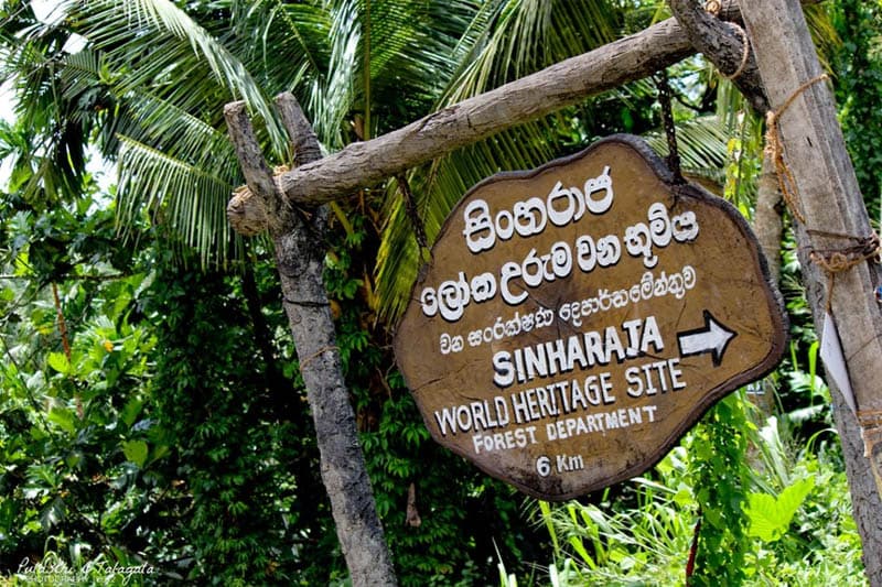 නීති විරෝධී හෝටලයක් නිසා සිංහරාජයේ ලෝක උරුම වනාන්තරයට සහ ජල පෝෂකවලට තර්ජනයක්