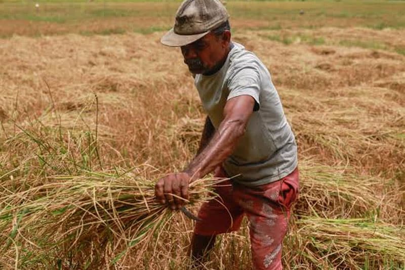 වත්මන් ගොවි යුද්ධය හමුවේ ආණ්ඩුව කුමක් කළ යුතු ද? | සුනිල් කන්නන්ගර