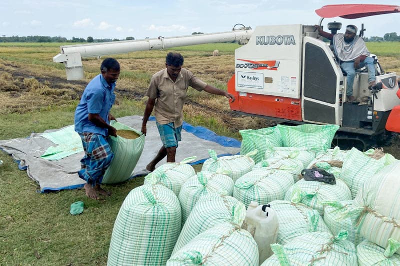 ගෝඨා වැපිරූ සහල් අර්බුද බීජයේ අස්වැන්න මාලිමාවට ? | සුනිල් කන්නන්ගර