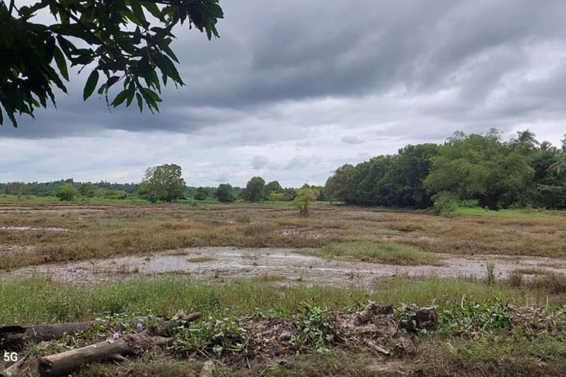 අද බොහොමයකට නොපෙනෙන සුදු වැල්ලේ අසිරි සිරිය | තිලක් සේනාසිංහ