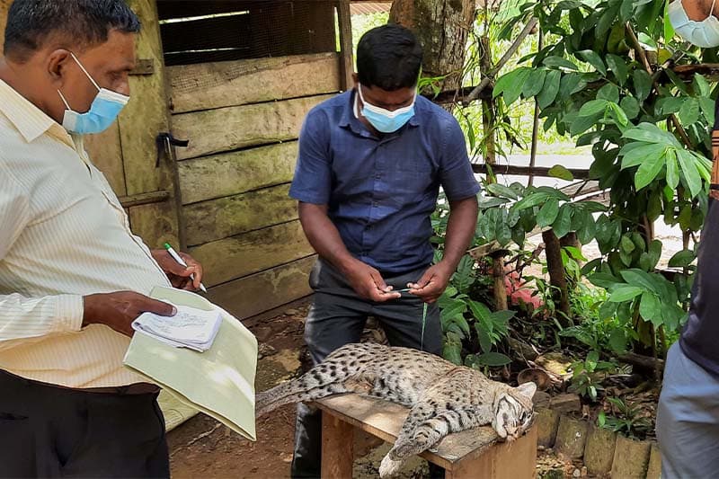 වලල්ලාවිට ප්රාදේශීය ලේකම් කොට්ඨාසයට වනජීවී කාර්යාලයක් ඉල්ලයි