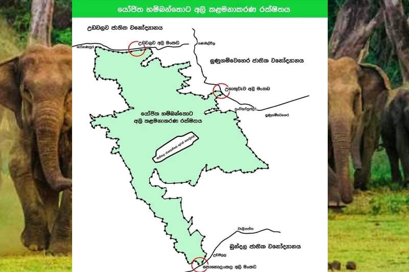 හම්බන්තොට වන අලි පලවා හැරීම ඉතිහාසයට එක්වන තවත් අඳුරු කතාවක් !