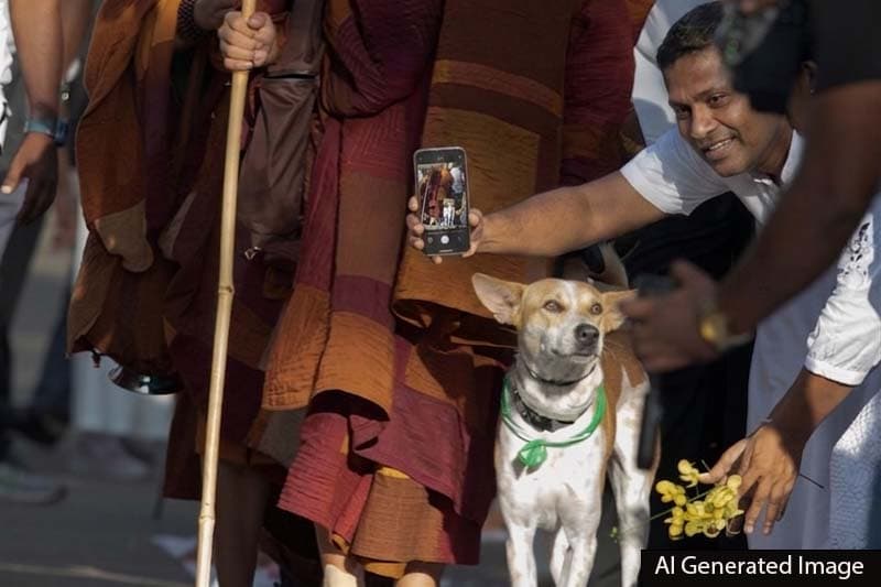 ආලෝකා සමග ''සෙල්ෆි' ගැහිල්ලෙන් පා ගමනට බාධා