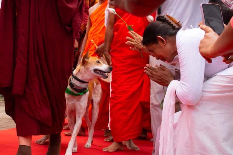 ක්රියාවෙන් හිත පිරිසිදු වෙනවා නම් වඳින වස්තුව අපිට අදාලම නෑ නේද? | Chinthana Dharmadasa