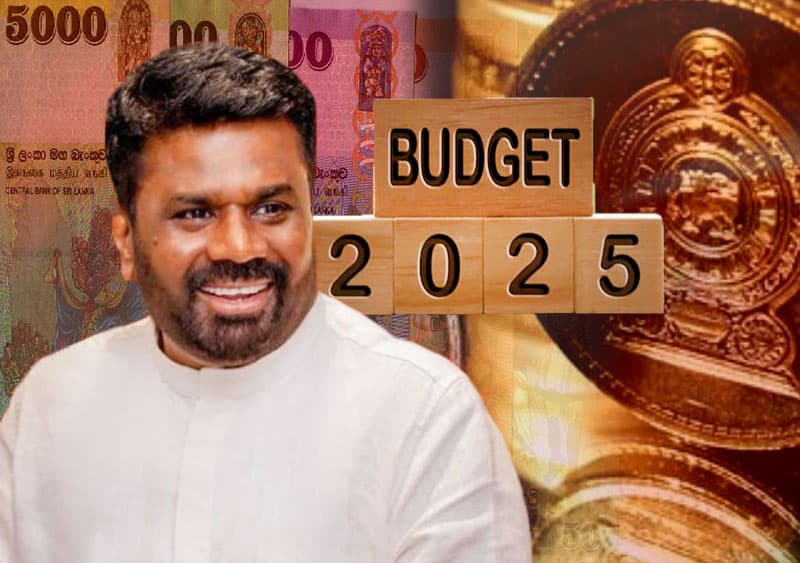 ශ්රී ලංකාවේ 2025 අයවැය පිළිබඳ දැක්මක් | ලයනල් බෝපගේ