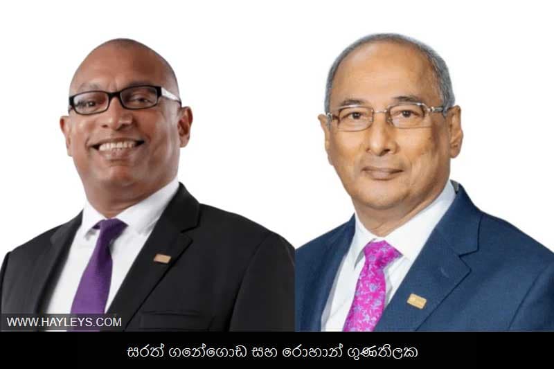 ශ්රී ලංකන් අධ්යක්ෂ මණ්ඩලයෙන් 'හේලීස්' නියෝජිතයින් ඉල්ලා අස්වුනේ ඇයි ?