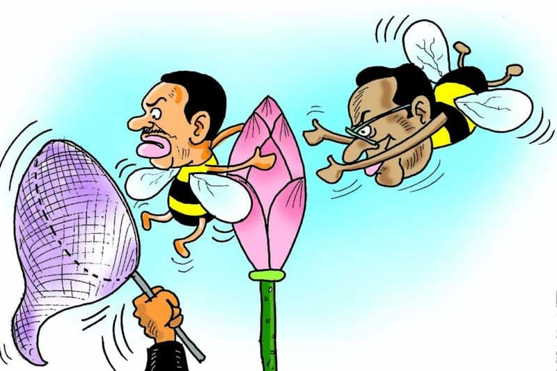 මං පොර ජාතකයක්…