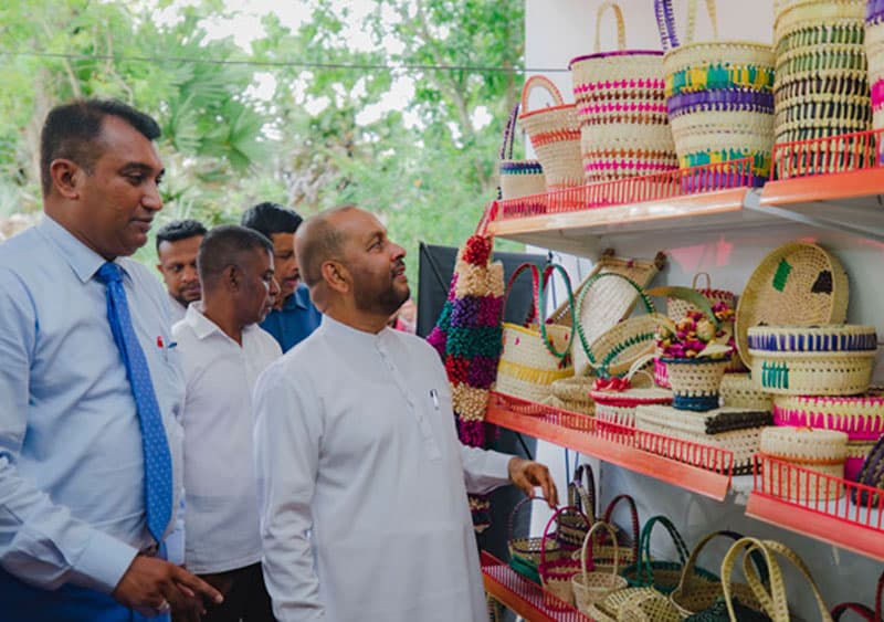 කැනඩාව තල් අරක්කුවලට වහ වැටෙයි