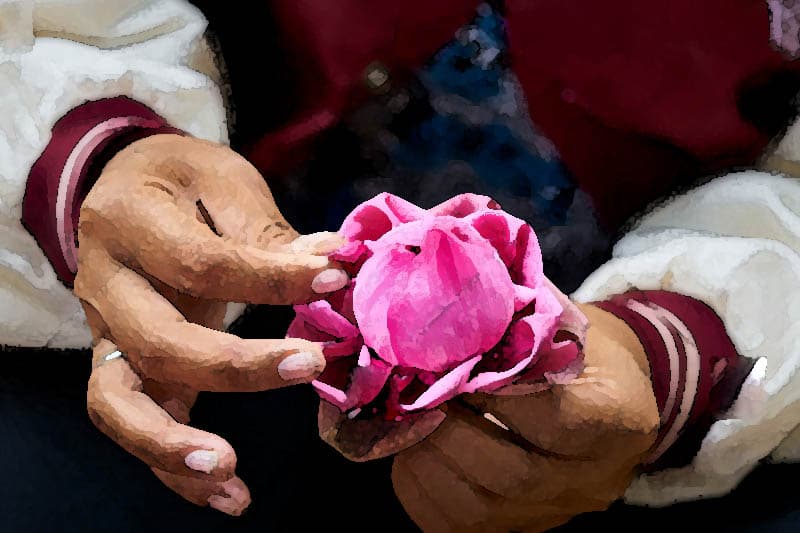 පොහොට්ටුවේ පළු ගැලවීම - (එරන්ද ගිනිගේ)