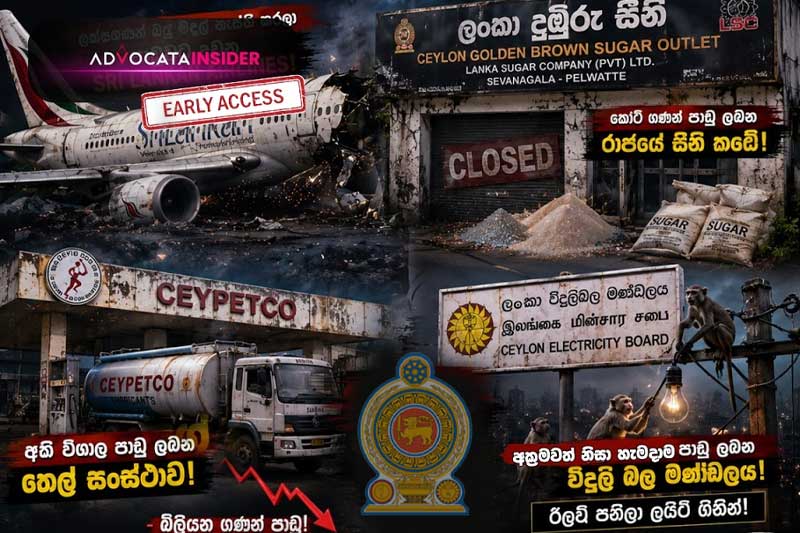 'රජයට බිස්නස් කරන්න බෑ කියන්නේ NGO පිල්ලි' - ආර්ථිකයේ ලොකුම විකෘති 6ක් එළියට! | (Advocata Plus වීඩියෝවක්)