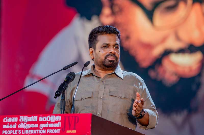 'කැප්පෙටිපොළලා- දොන් ජුවන් ධර්මපාලලා එකතු වෙලා' - ජනපති කියයි