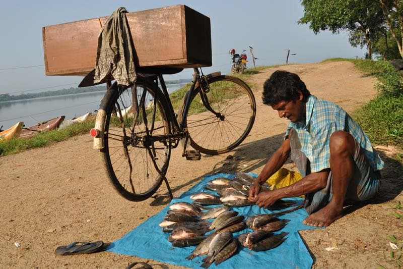 කපිල කුමාර කාලිංගගේ හීසරය : ඉස්සන් මගුරන් ලොකු වැලිගොව්වන්