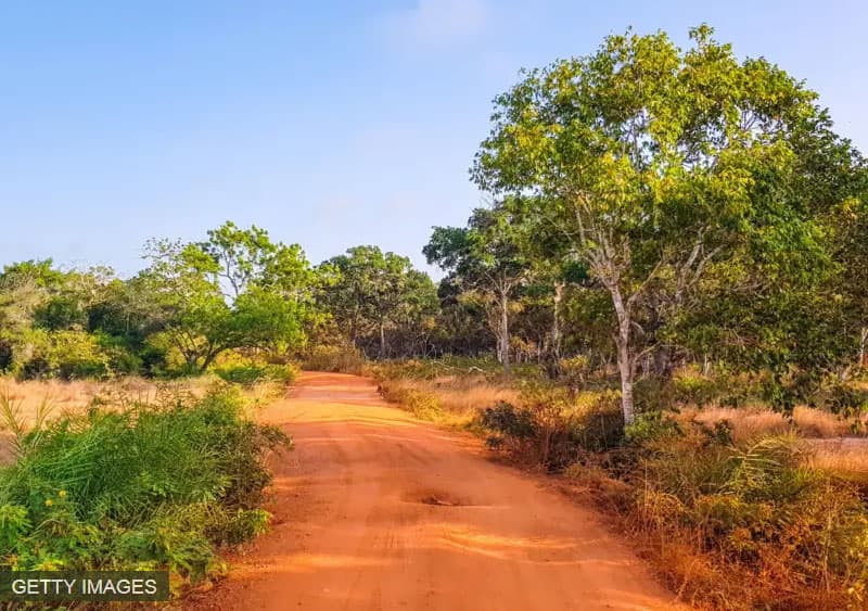 විල්පත්තු අභය භූමිය හරහා ඉදිකරන බව කී මාර්ගය ඉදිනොකරන බව නීතිපති අධිකරණයට දැනුම් දුන්නේ ඇයි?