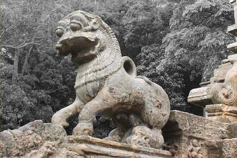 ජම්බුව සහ නලින් ද සිල්වාගේ බම්බුව - (එරන්ද ගිනිගේ)
