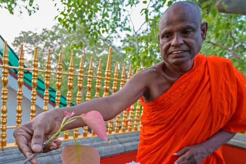 හේමරතන ප්රපංචය...| Mahesh Hapugoda