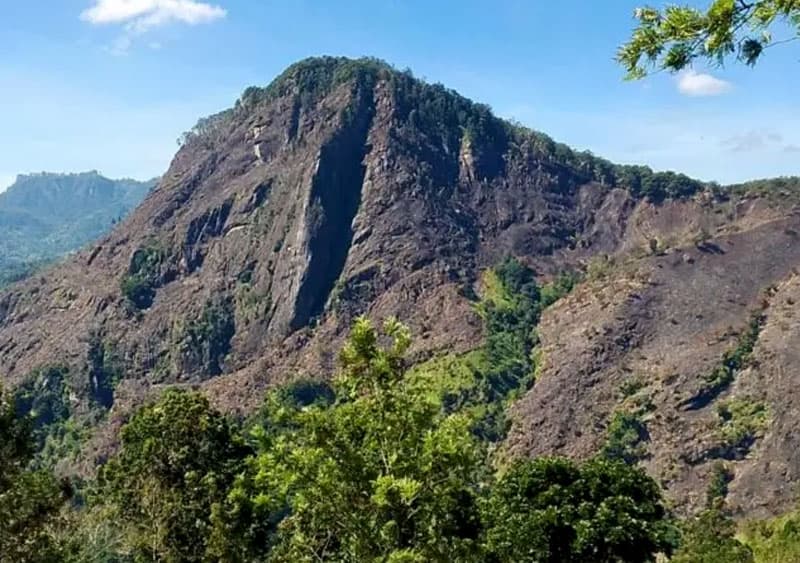 ඇල්ල රොක් ගින්න: අක්කර ගණනක් විනාශ වන තුරු නිවීමට නොහැකි වුණේ ඇයි?