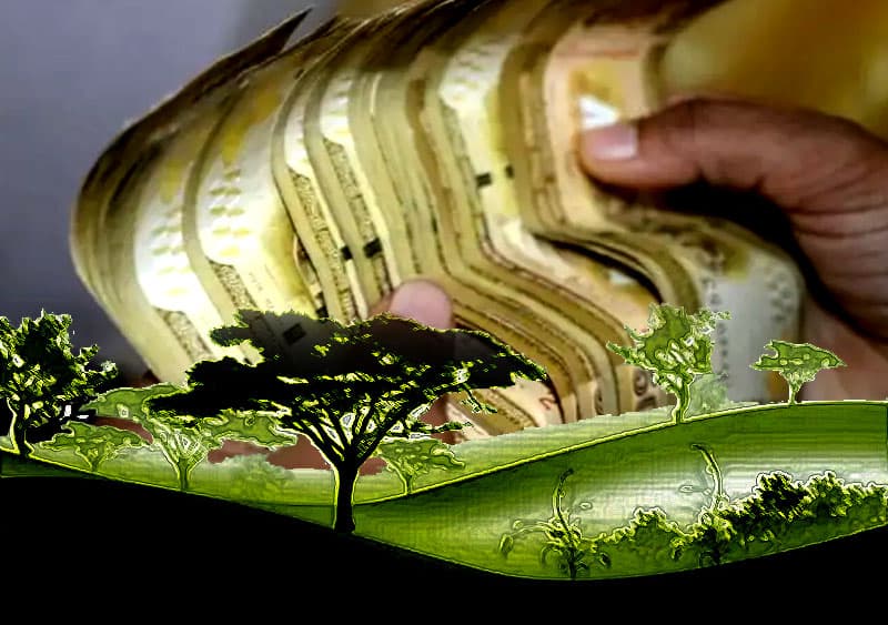 වඩා යහපත් දේ කිරීමට වඩා ශක්තිමත් ආර්ථියක් ගොඩනැගීම සිදු කළ යුතුය - (මහාචාර්ය රොහාන් සමරජීව)