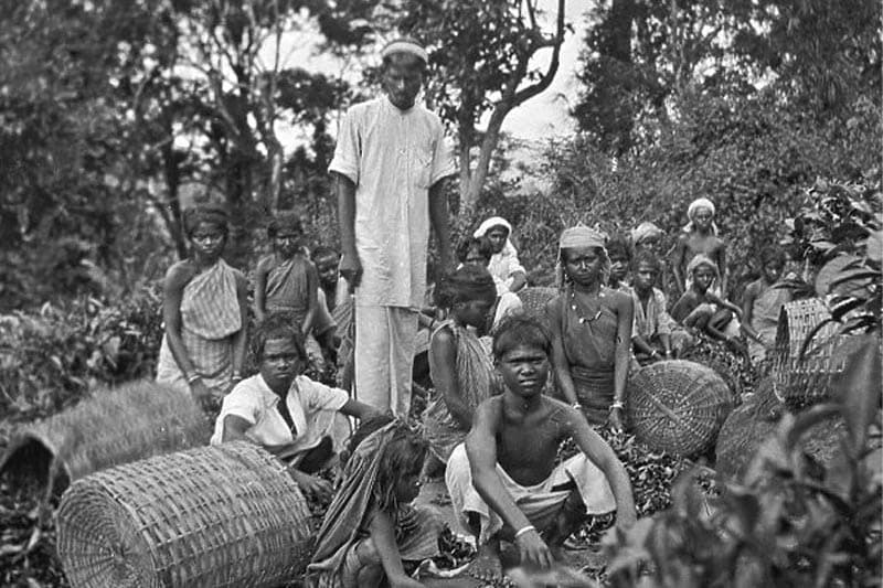 නොරට සිට ආ මුතුන් මිත්තෝ (3) : වනයේ තප්පු ගසමින් දකුණු ඉන්දියානුවෝ මන්නාරම සිට මාතලේට ආ ගමන - (ඉන්දු පෙරේරා)