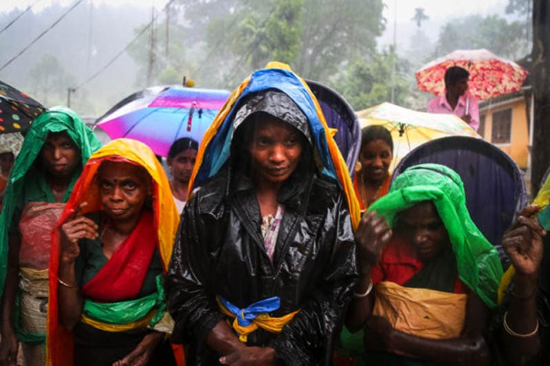 නොරට සිට ආ මුතුන් මිත්තෝ (4) : සිලෝන් ටී වෙනුවෙන් ඔවුහු දිවි පිදූහ - (ඉන්දු පෙරේරා)