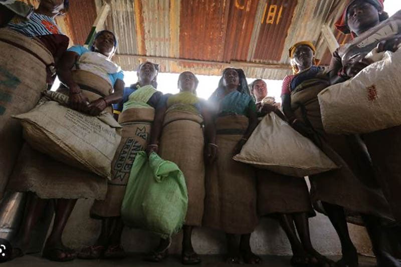 නොරට සිට ආ මුතුන් මිත්තෝ (11) : රටක් නැති ජනතාව ඉන්දියාවට පිටමං කරන සිරිමා - ශාස්ත්රී ගිවිසුම (ඉන්දු පෙරේරා)