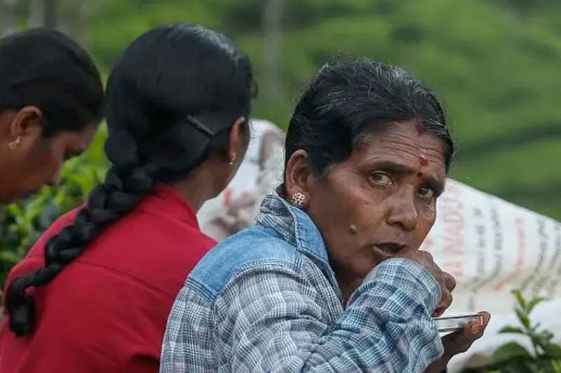 නොරට සිට ආ මුතුන් මිත්තෝ (22) : වතුකරයේ දෙමළ ජාතිය සේදී යන්නේ කොහොම ද? - (ඉන්දු පෙරේරා)