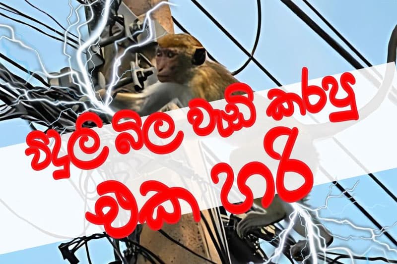 විදුලි බිල වැඩි කළ යුතුයි...! | Janath C Perera