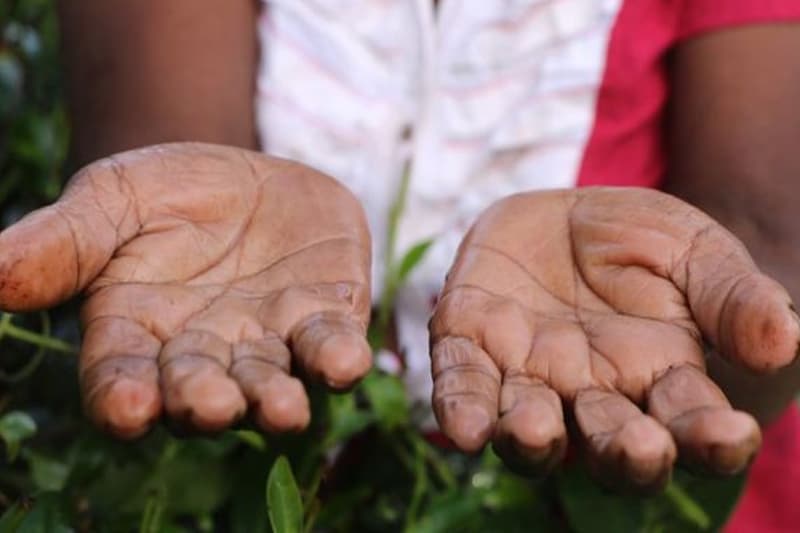 විදේශ විනිමය, වාහන ආනයනය හා ශ්රමිකාවියෝ | කුසල් පෙරේරා