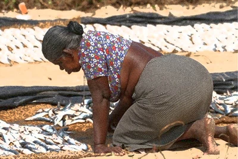 කුවේණිගේ සනුහරේ (02) - කුළියට හැඬූ මීගමු කාන්තාවන් ගේ කතාව (ඉන්දු පෙරේරා)