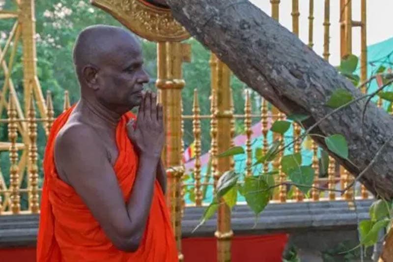බාලවයස්කාර දැරියක අපයෝජන සිද්ධිය: ලේ සාම්පල දෙන්නැයි පල්ලේගම හේමරතන හිමිට නියෝගයක්