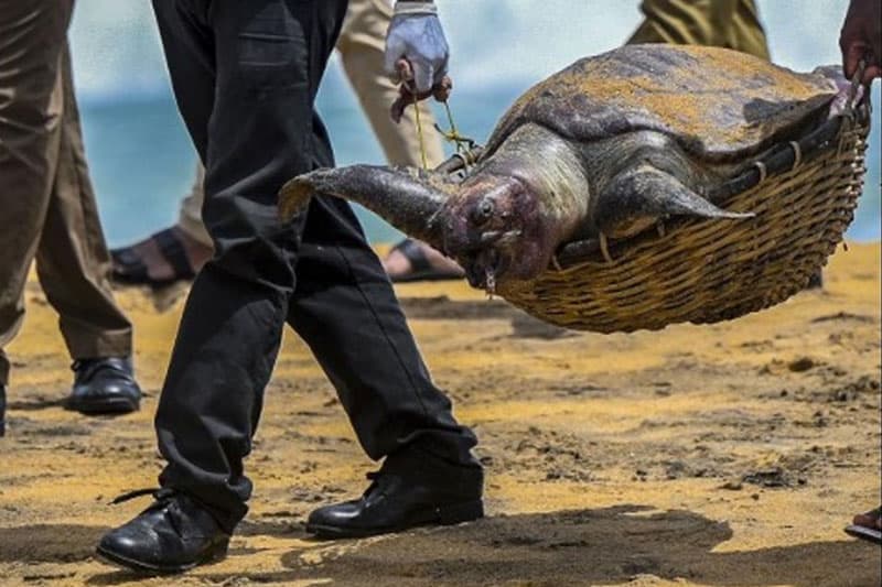 වන්දි නැතුව එක්ස්ප්රස් පර්ල් නඩුව අවසන් - වන්දි ලැබේවි ද? යුක්තිය කෝ? | Saroj Pathirana