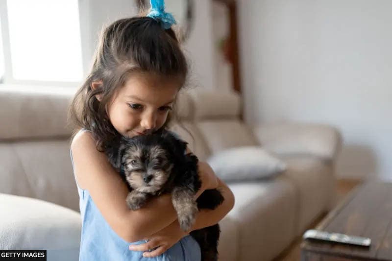 සුරතල් සතුන් හරහා ආ හැකි 'මාරයාගෙන්' ඔබේ දරුවා ආරක්ෂා කර ගන්නේ කෙසේ ද?