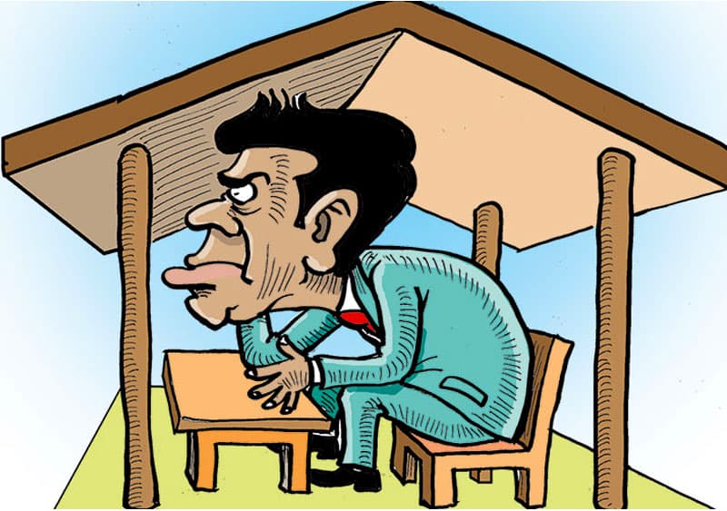 කුඩම්මගෙ සැලකිල්ලක්