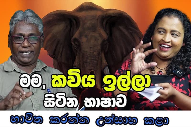 මම, කවිය ඉල්ලා සිටින භාෂාව භාවිත කරන්න උත්සාහ කළා - රුවනි සිසිජා