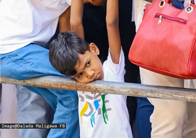 දළදා ප්රදර්ශනයෙන් ආණ්ඩුව ෆේල් ද? | Mahesh Hapugoda