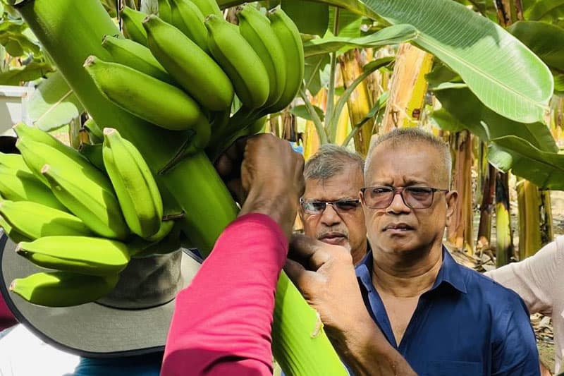 වැව් රක්ෂිත 'ශුද්ධ කිරීමත්' මෝඩ චූන් එකක් වේ ද? | සුනිල් කන්නන්ගර