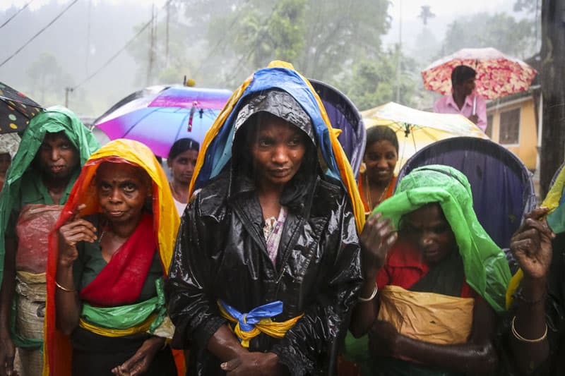 රන් කහට පිටුපස ඇති කළු සත්යය....!
