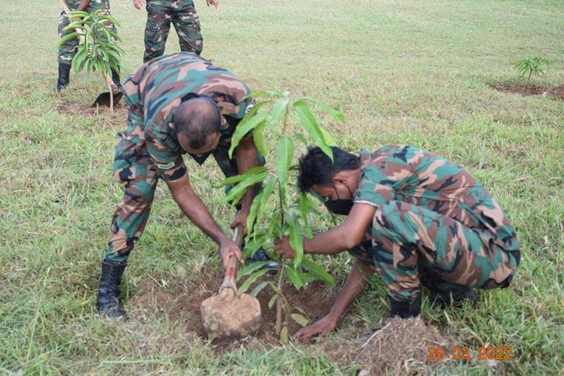 යුද හමුදාවේ 'විරු තුරු සෙවණ' අද සිට