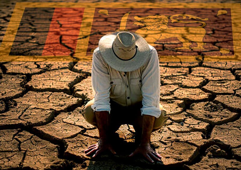 මේක මහා විකෘතියක්.. political disaster. එකක් | Nishantha Sri Warnasinghe