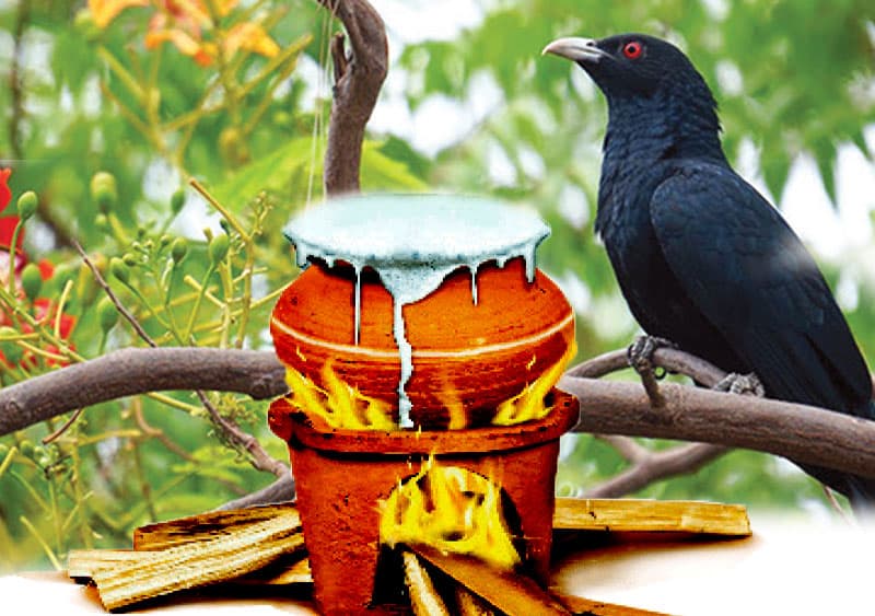 අලුත් අවුරුද්ද